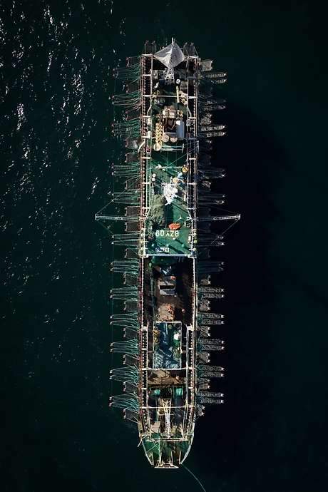 This film explores the controversial world of squid fishing on the high seas, a practice often criticized by protectionist groups. It reveals the harsh realities faced by workers aboard fishing vessels, often far from home, and highlights the concerns raised by human rights organizations regarding their treatment. The documentary presents striking visuals of this unique and challenging environment, offering a glimpse into a rarely seen industry.